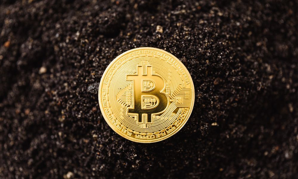 Bitcoin Poised For Recovery, Relief Summer Still In Play?